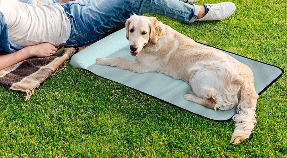 tappetino fresco per cani 